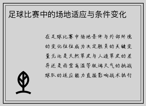 足球比赛中的场地适应与条件变化