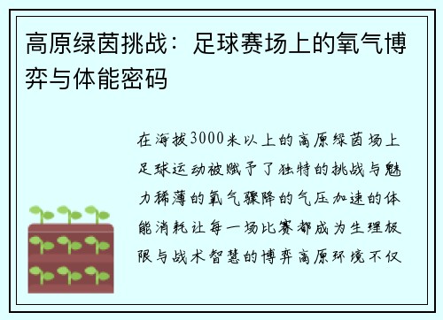 高原绿茵挑战：足球赛场上的氧气博弈与体能密码